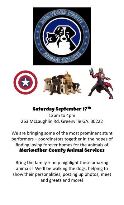 Animal Shelter Event