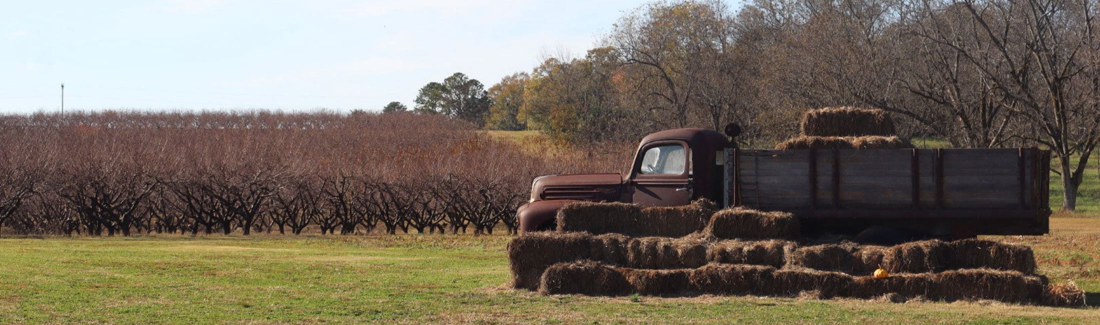 Truck and Haystack
