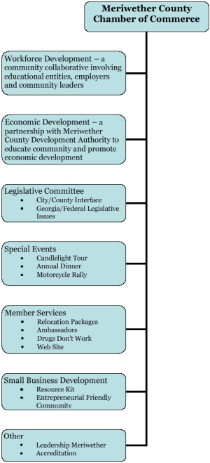 Committee Structure